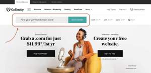 First step in purchasing your agency domain.