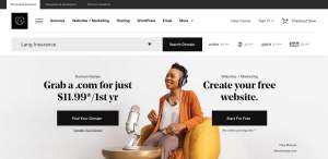 Search for your agency's domain on GoDaddy!