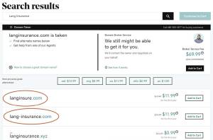 Search results for unlisted GoDaddy domains.
