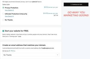 What your screen should look like when purchasing your domain.